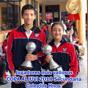 Jugadores Valiosos Aljuvi